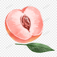 WWW,av266·COM网站APP